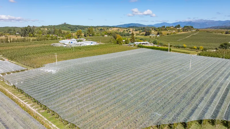 Netted block from above