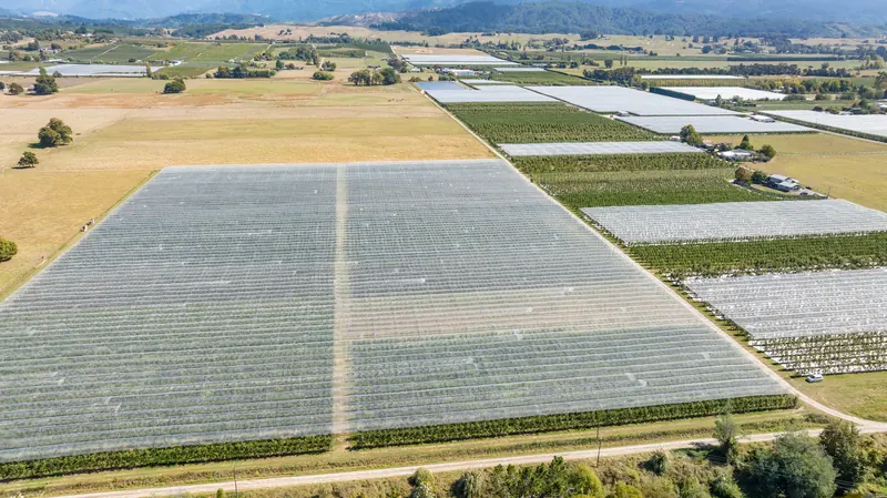 Aerial view of SmartNet blocks with the mountains behind